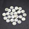 Shell Cabochons SSHEL-E568-A04-2