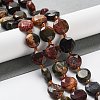 Natural Polychrome Jasper/Picasso Stone/Picasso Jasper Beads Strands G-NH0004-010-2