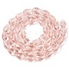 Transparent Glass Beads Strands EGLA-N013-T10mm-D22-2