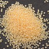 8/0 Glass Seed Beads SEED-J012-F8-102-2