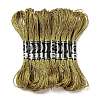 10 Skeins 12-Ply Metallic Polyester Embroidery Floss OCOR-Q057-A06-1