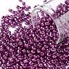 8/0 Glass Seed Beads SEED-A017-3mm-1121-1