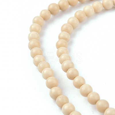 Natural Fossil Beads Strands G-E110-4mm-2-1