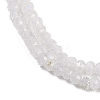 Natural Rainbow Moonstone Beads Strands G-F778-A06-01-1