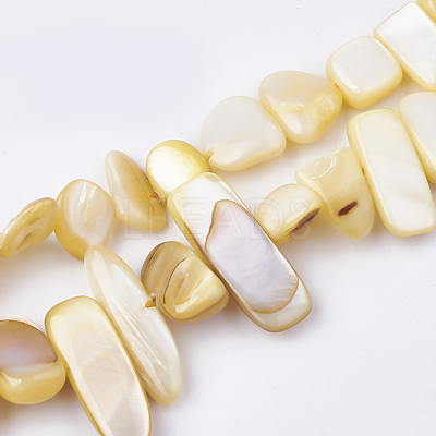 Freshwater Shell Beads Strands SHEL-S274-40K-1