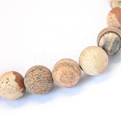 Frosted Natural Picture Jasper Round Bead Strands G-E334-4mm-26-1