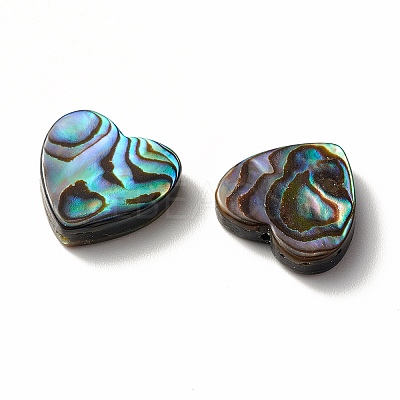 Abalone Shell/Paua Shell Beads SHEL-T005-01-1