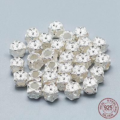 925 Sterling Silver Beads STER-T002-79S-1