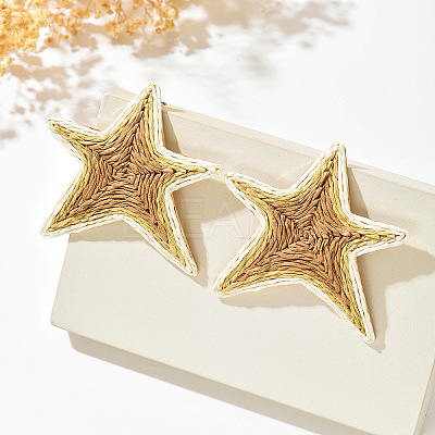 Iron and Raffia Stud Earrings for Women WGF3A03-02-1