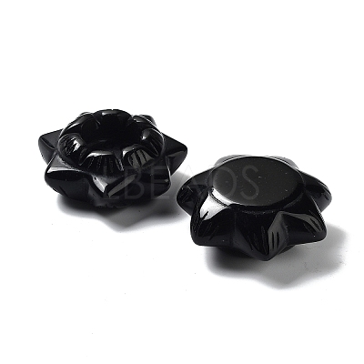 Natural Obsidian Display Decorations DJEW-F007-E05-1