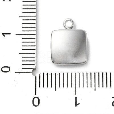 304 Stainless Steel Acrylic Pendants LS-STAS-M091-02D-P-1