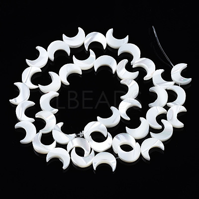 Natural Trochid Shell/Trochus Shell Beads Strands SSHEL-S266-025B-01-1