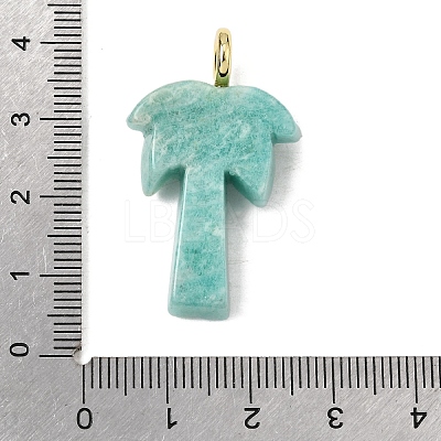 Natural Amazonite Carved Pendants X-G-C282-04D-1
