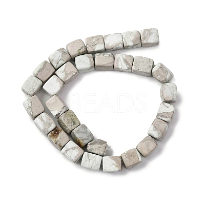 Natural Variscite Beads Strands G-D098-D09-1
