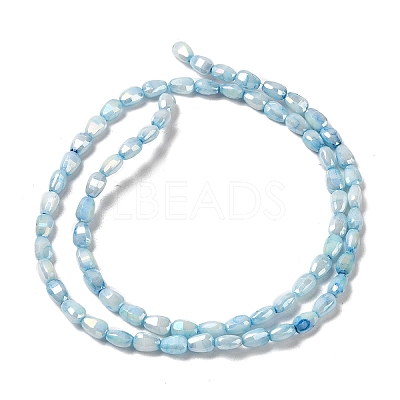 Electroplate Glass Beads Strands GLAA-D013-05C-1