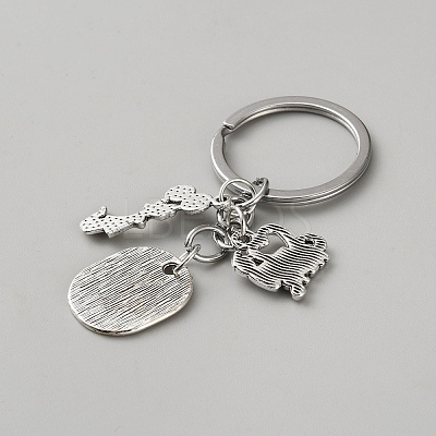 Alloy Pendant Keychains KEYC-WH0030-72-1