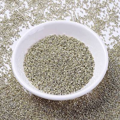 MIYUKI Delica Beads X-SEED-J020-DB1831-1