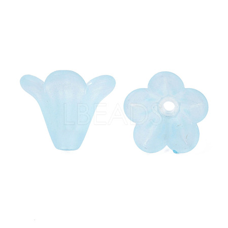 Frosted Acrylic Beads PL692-10-1