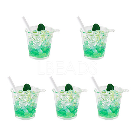 Transparent Resin Big Pendants RESI-TAC0019-04A-1
