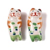 Hand-Painted Porcelain Beads PORC-R001-01F-1