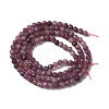 Natural Ruby Beads Strands G-F509-16-3mm-01-5