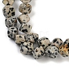 Natural Dalmatian Jasper Beads Strands G-A257-A17-01-4