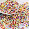 Baking Paint Glass Seed Beads X-SEED-S042-05B-50-1