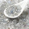 Natural Labradorite Beads X-G-O103-22-01-1