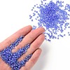 (Repacking Service Available) Round Glass Seed Beads SEED-C016-3mm-166-4