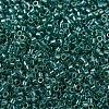 MIYUKI Delica Beads X-SEED-J020-DB0919-3