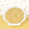 8/0 Ceylon Round Glass Seed Beads X-SEED-A011-3mm-142-1