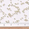 MIYUKI Delica Beads X-SEED-J020-DB1766-4