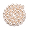 Baking Paint Pearlized Glass Pearl Round Bead Strands PEAR-H019-02D-02-2