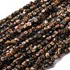 Natural Leopard Skin Jasper Beads Strands G-I389-A09-2