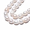 Natural Cultured Freshwater Pearl Beads Strands PEAR-N012-07B-4