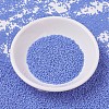 MIYUKI Delica Beads X-SEED-J020-DB0760-2