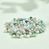  2 Strands Natural Flower Amazonite Beads Strands G-NB0004-59-4