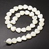 Natural Trochid Shell/Trochus Shell Beads Strands SSHEL-K012-01-A-2