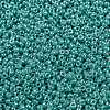 MIYUKI Round Rocailles Beads SEED-X0056-RR0435-2