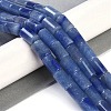 Natural Blue Aventurine Beads Strands G-Q159-A04-01-2