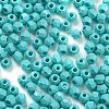 Baking Paint Glass Seed Beads SEED-A032-02H-3