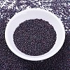 MIYUKI Delica Beads Small SEED-X0054-DBS0312-2
