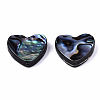 Natural Abalone Shell/Paua Shell Beads SSHEL-T014-16C-2