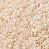 Baking Paint Glass Seed Beads X-SEED-S042-15A-02-3