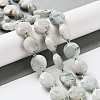 Natural Gemstone Beads Strands G-NH0004-017-2