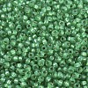 MIYUKI Round Rocailles Beads SEED-X0054-RR0646-3