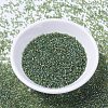 MIYUKI Delica Beads LS-X-SEED-J020-DB1247-2