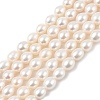 Natural Cultured Freshwater Pearl Beads Strands PEAR-I007-01D-02A-2