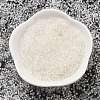Transparent Inside Colours Glass Seed Beads SEED-H003-04A-2