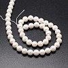 Shell Pearl Beads Strands BSHE-E008-12mm-12-2